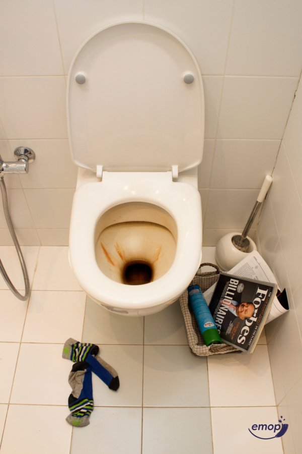 How to Remove Limescale from Toilet Bowl eMop