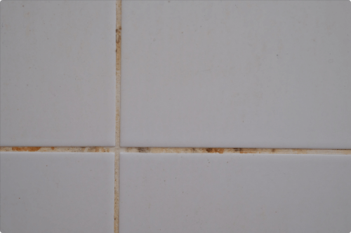 Dirty Grout on White Tile