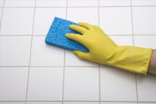 Professional Cleaner Cleaning Grout 