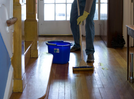 floor cleaning